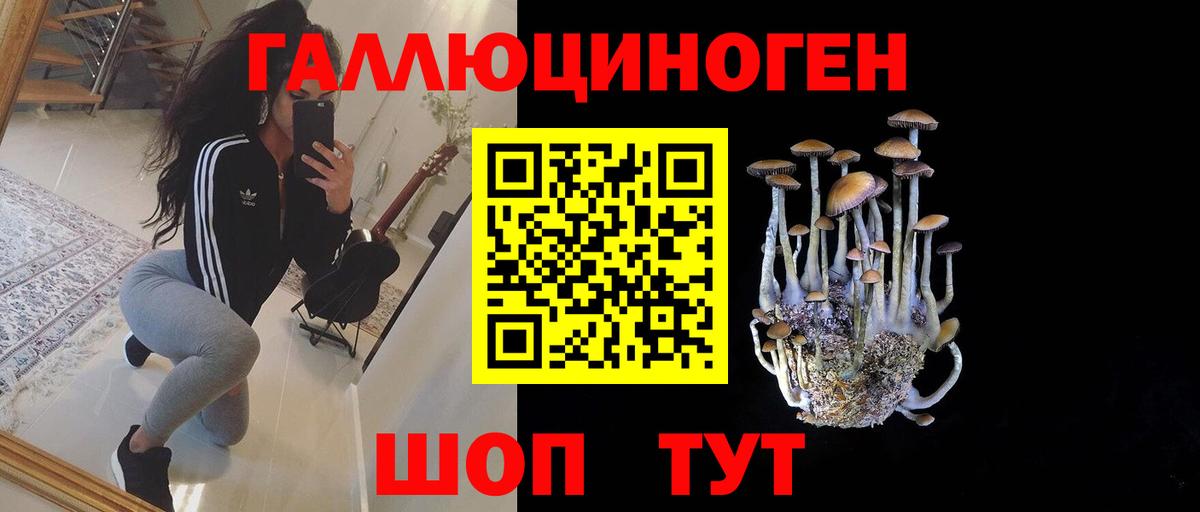 Псилоцибиновые грибы MAGIC MUSHROOMS  Псилоцибиновые грибы Psilocybe  Россошь  Вход с VPN 